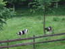 Htenwochenende Laurenzius-Hsle 2007 009
