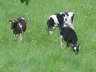 Htenwochenende Laurenzius-Hsle 2007 015