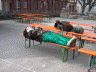 Montag und Dienstag 003