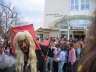 Umzug Gufi 2008 040