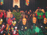 buchen 004