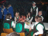 buchen 008
