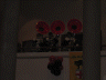 konzert 042